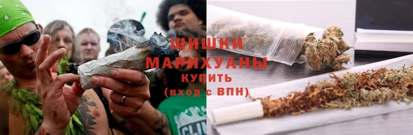 PSILOCYBIN Зерноград