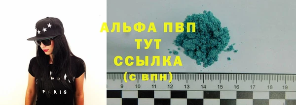 СК Зеленокумск