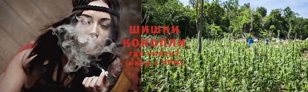 PSILOCYBIN Зерноград