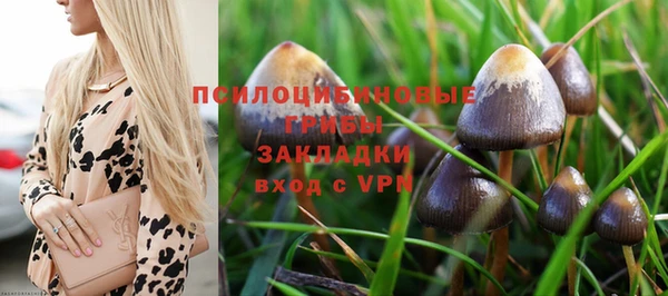 СК Зеленокумск