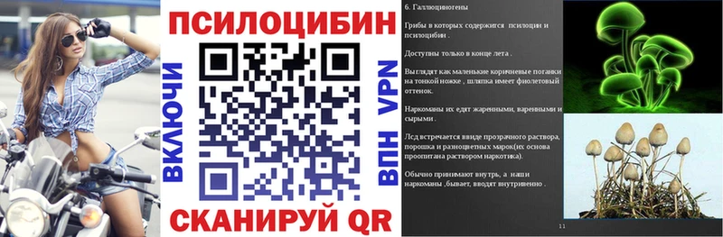 купить  цена  Оренбург  гидра зеркало  Псилоцибиновые грибы GOLDEN TEACHER 