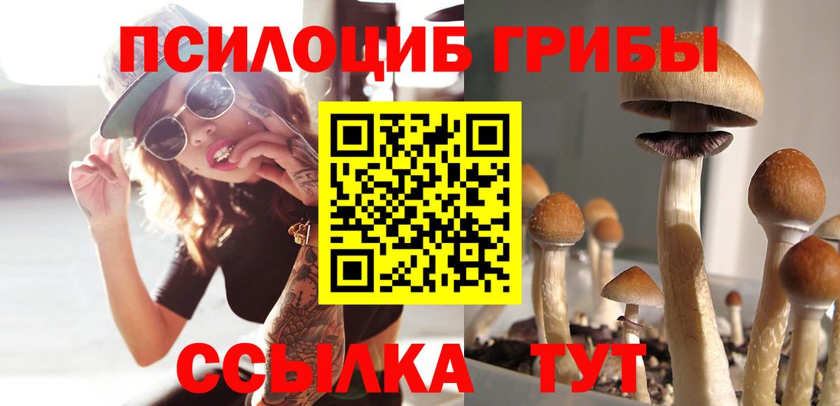 Галлюциногенные грибы GOLDEN TEACHER Оренбург